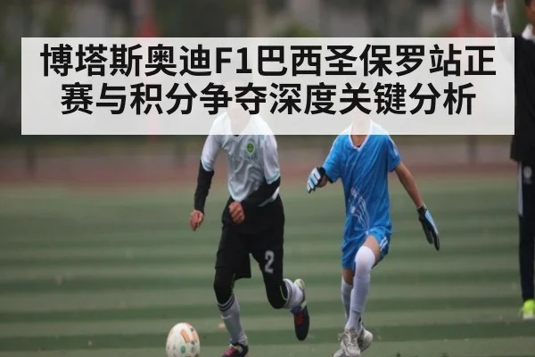 博塔斯奥迪F1巴西圣保罗站正赛与积分争夺深度关键分析 - kaiyun